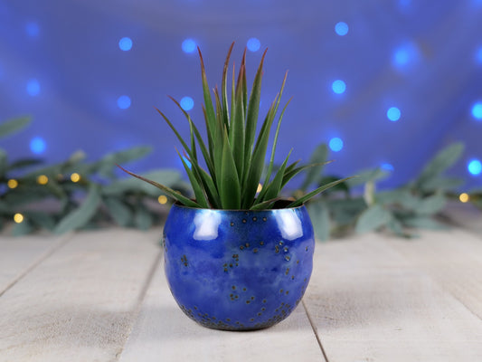 Enameled Copper Succulent Planter * Small Flower Pot * Small Planter * Mini Plant Pot * Small Planter Pot * Mini Planter * Mini Plant Holder