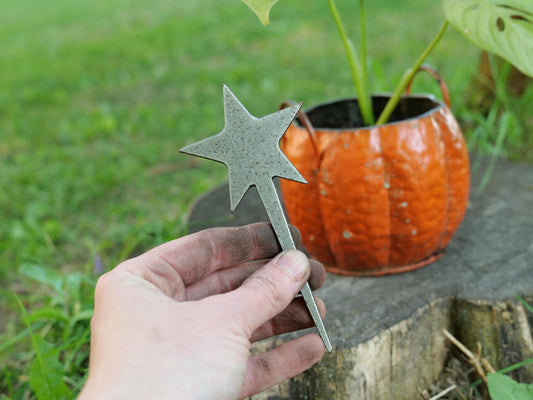 Star Metal Planter Decoration * Garden Stake * House Plant Decorations* Outdoor Stake Decorations * Fairy Garden Accessories * Plant