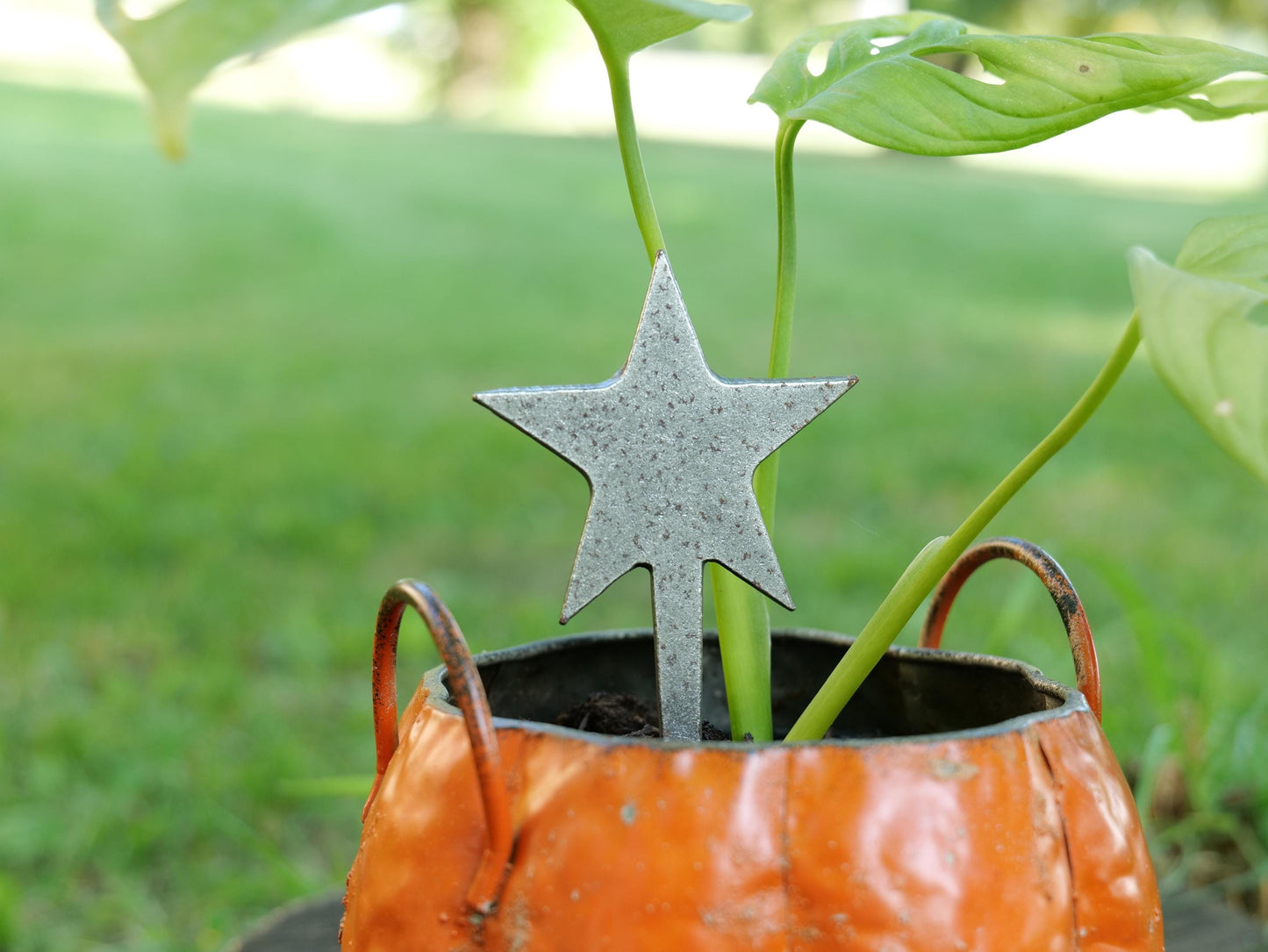 Star Metal Planter Decoration * Garden Stake * House Plant Decorations* Outdoor Stake Decorations * Fairy Garden Accessories * Plant