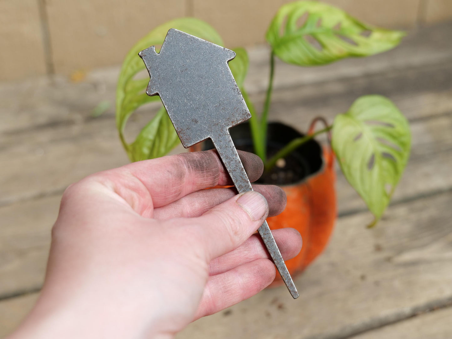 House Metal Planter Decoration * Garden Stake * House Plant Decorations* Outdoor Stake Decorations * Fairy Garden Accessories * Plant