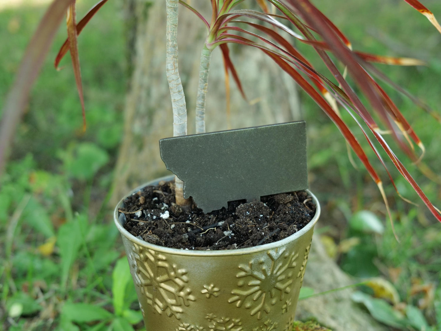 Apple Garden Stake * Metal Planter Decoration * House Plant Decorations* Outdoor Stake Decorations * Fairy Garden Accessories * Farm