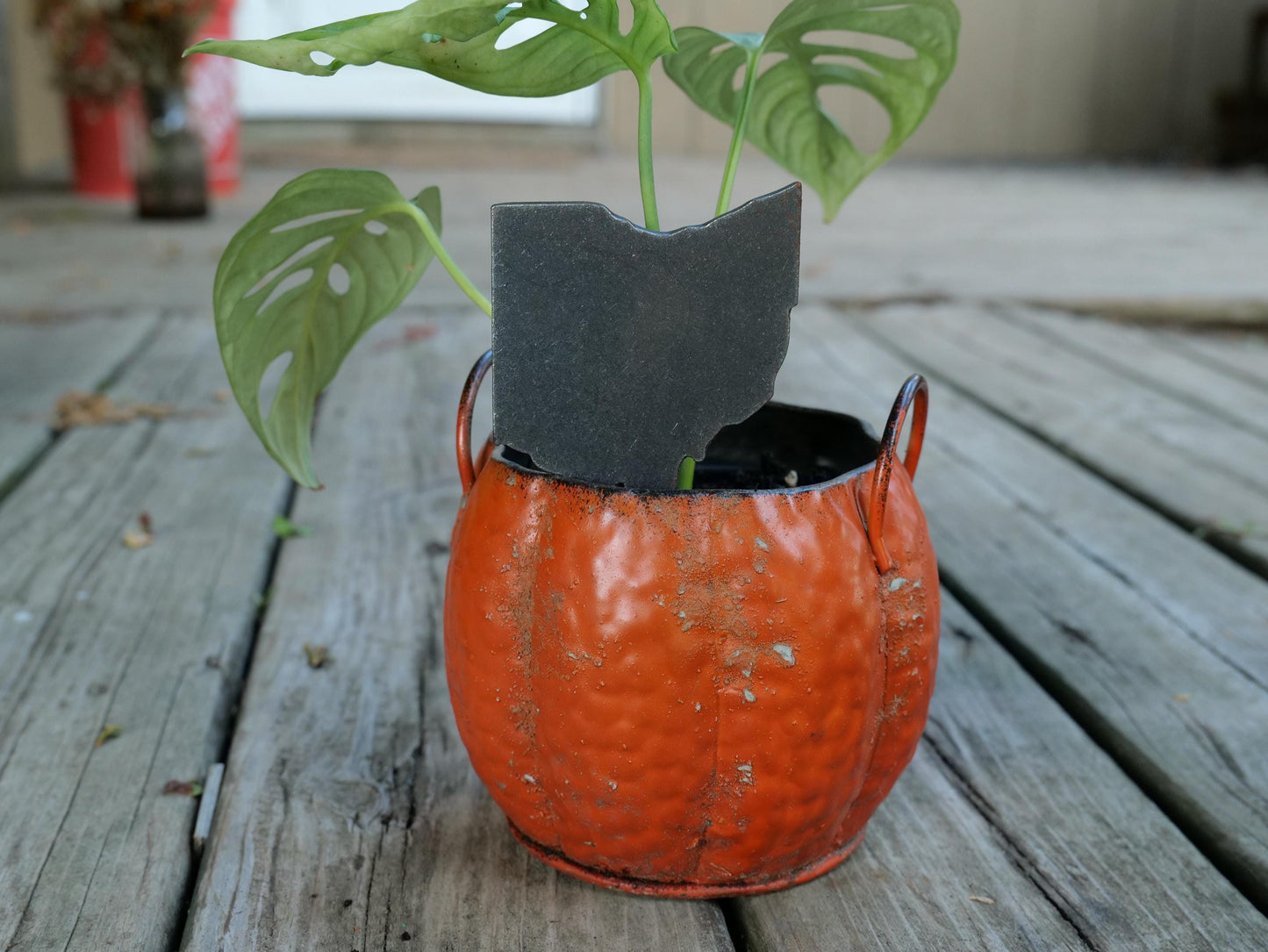 Apple Garden Stake * Metal Planter Decoration * House Plant Decorations* Outdoor Stake Decorations * Fairy Garden Accessories * Farm