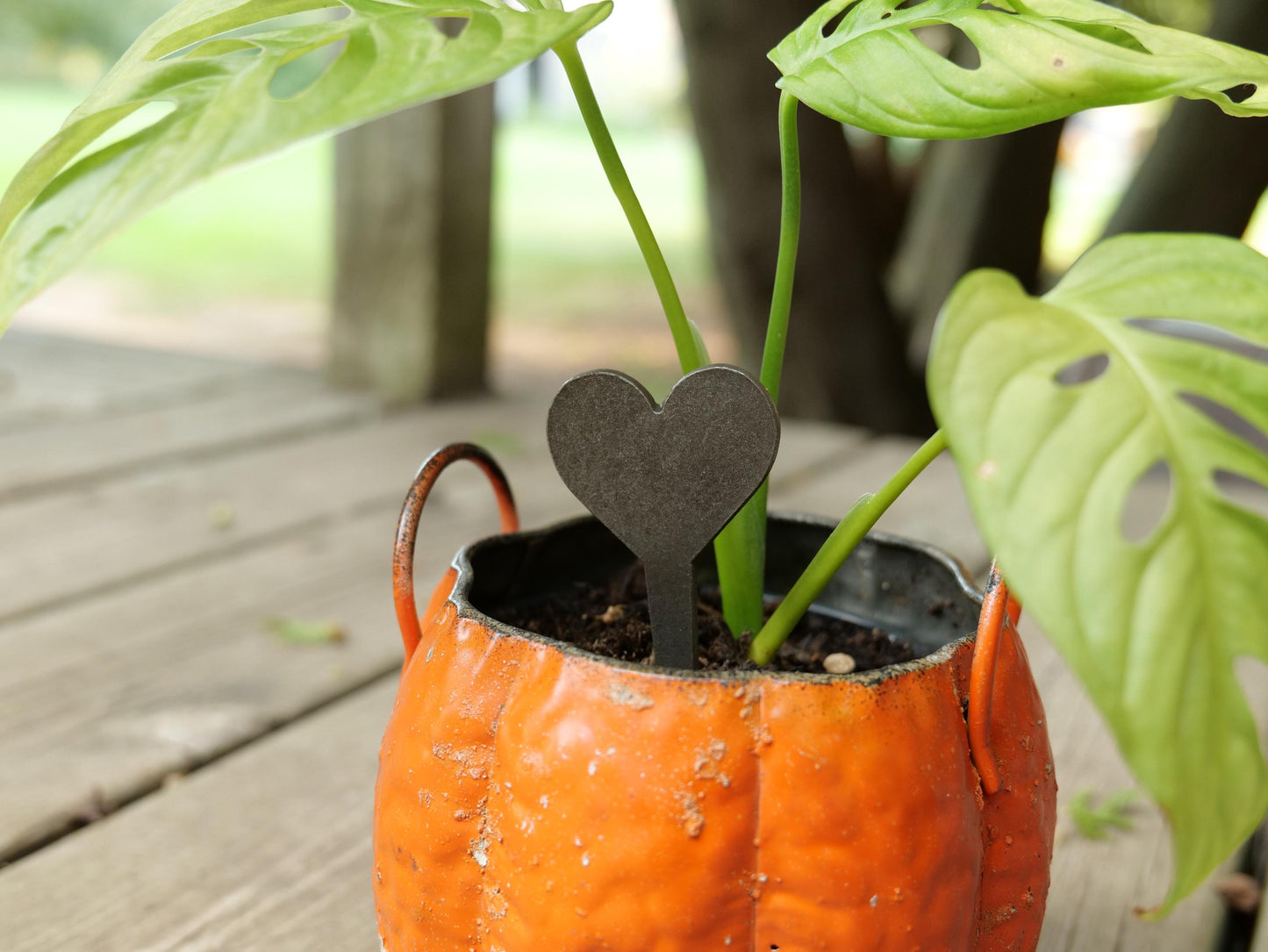 Heart Metal Planter Decoration * Garden Stake * House Plant Decorations* Outdoor Stake Decorations * Fairy Garden Accessories * Plant