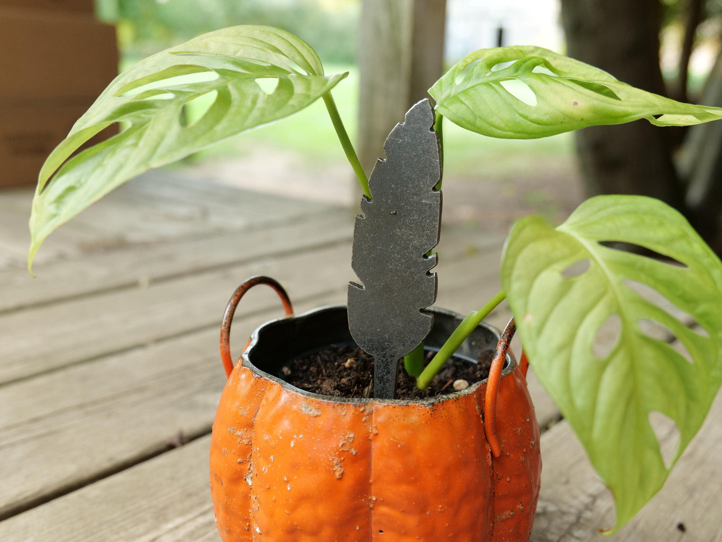 Feather Metal Planter Decoration * Garden Stake * House Plant Decorations* Outdoor Stake Decorations * Fairy Garden Accessories * Plant