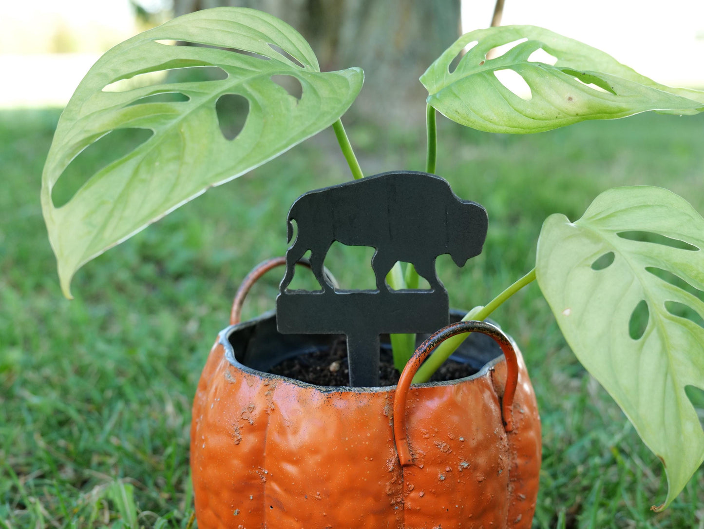 Apple Garden Stake * Metal Planter Decoration * House Plant Decorations* Outdoor Stake Decorations * Fairy Garden Accessories * Farm