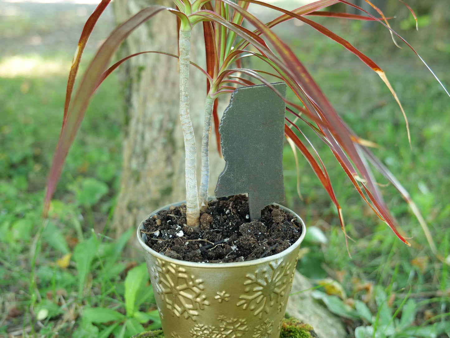 Apple Garden Stake * Metal Planter Decoration * House Plant Decorations* Outdoor Stake Decorations * Fairy Garden Accessories * Farm