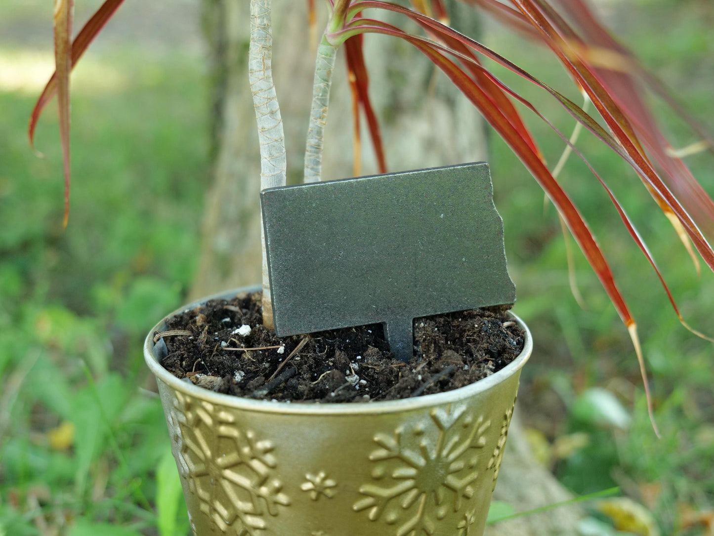 Apple Garden Stake * Metal Planter Decoration * House Plant Decorations* Outdoor Stake Decorations * Fairy Garden Accessories * Farm