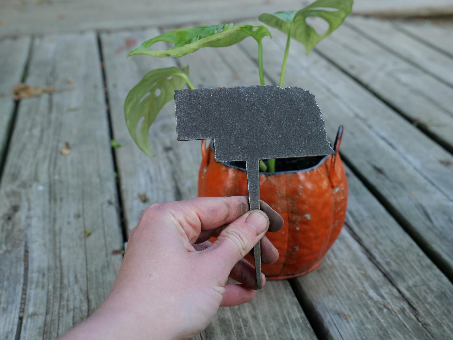 Apple Garden Stake * Metal Planter Decoration * House Plant Decorations* Outdoor Stake Decorations * Fairy Garden Accessories * Farm