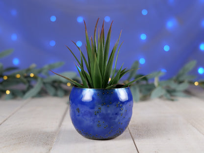 Enameled Copper Succulent Planter * Small Flower Pot * Small Planter * Mini Plant Pot * Small Planter Pot * Mini Planter * Mini Plant Holder