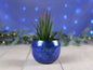 Enameled Copper Succulent Planter * Small Flower Pot * Small Planter * Mini Plant Pot * Small Planter Pot * Mini Planter * Mini Plant Holder