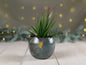 Enameled Copper Succulent Planter * Small Flower Pot * Small Planter * Mini Plant Pot * Small Planter Pot * Mini Planter * Mini Plant Holder