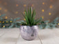 Enameled Copper Succulent Planter * Small Flower Pot * Small Planter * Mini Plant Pot * Small Planter Pot * Mini Planter * Mini Plant Holder
