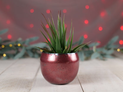 Enameled Copper Succulent Planter * Small Flower Pot * Small Planter * Mini Plant Pot * Small Planter Pot * Mini Planter * Mini Plant Holder