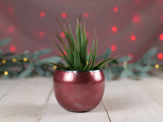 Enameled Copper Succulent Planter * Small Flower Pot * Small Planter * Mini Plant Pot * Small Planter Pot * Mini Planter * Mini Plant Holder