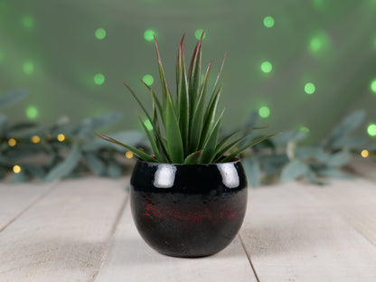 Enameled Copper Succulent Planter * Small Flower Pot * Small Planter * Mini Plant Pot * Small Planter Pot * Mini Planter * Mini Plant Holder
