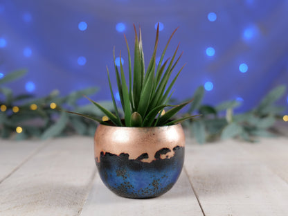 Enameled Copper Succulent Planter * Small Flower Pot * Small Planter * Mini Plant Pot * Small Planter Pot * Mini Planter * Mini Plant Holder