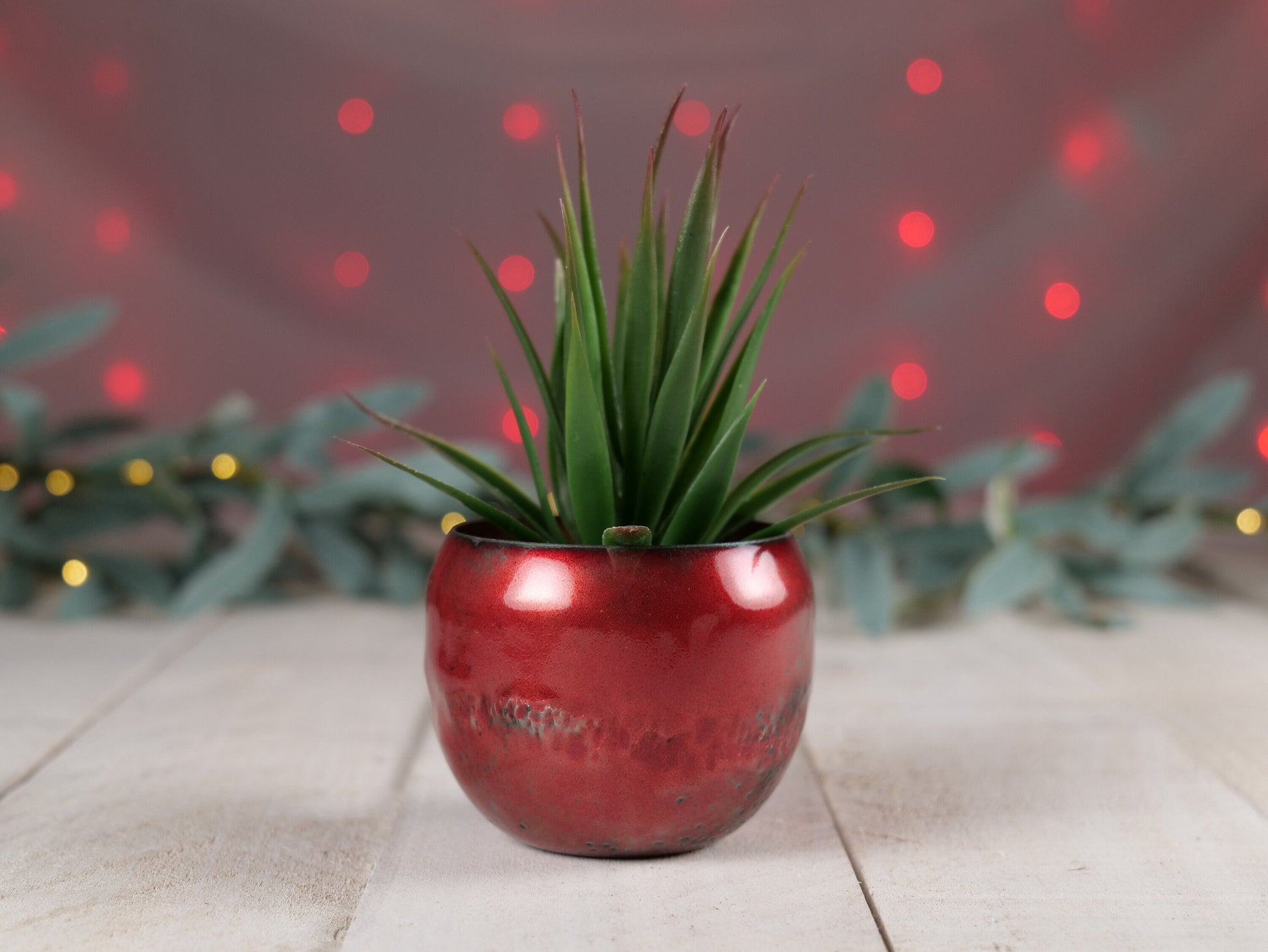 copper succulent pots Enameled Copper Succulent Planter * Small Flower Pot * Small Planter * Mini Plant Pot * Small Planter Pot * Mini Planter * Mini Plant Holder