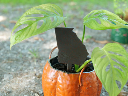 Apple Garden Stake * Metal Planter Decoration * House Plant Decorations* Outdoor Stake Decorations * Fairy Garden Accessories * Farm