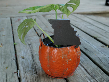 Apple Garden Stake * Metal Planter Decoration * House Plant Decorations* Outdoor Stake Decorations * Fairy Garden Accessories * Farm