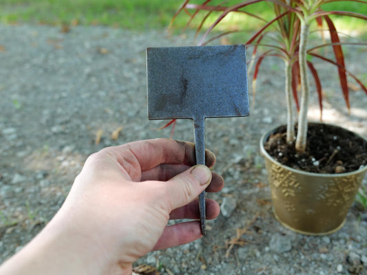 Texas Garden Stake * TX State Metal Planter Decoration * House Plant Decorations* Outdoor Stake Decorations * Fairy Garden Accessories