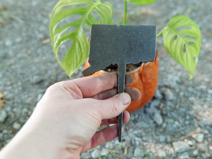 Apple Garden Stake * Metal Planter Decoration * House Plant Decorations* Outdoor Stake Decorations * Fairy Garden Accessories * Farm