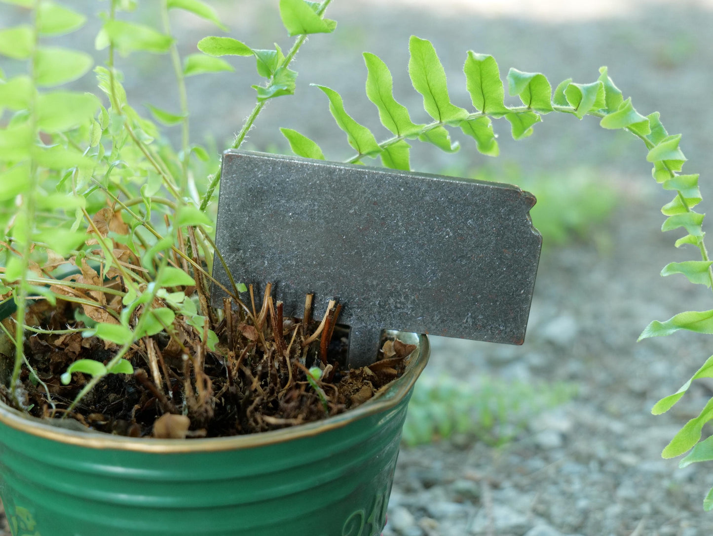 Apple Garden Stake * Metal Planter Decoration * House Plant Decorations* Outdoor Stake Decorations * Fairy Garden Accessories * Farm