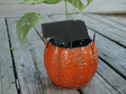 Apple Garden Stake * Metal Planter Decoration * House Plant Decorations* Outdoor Stake Decorations * Fairy Garden Accessories * Farm