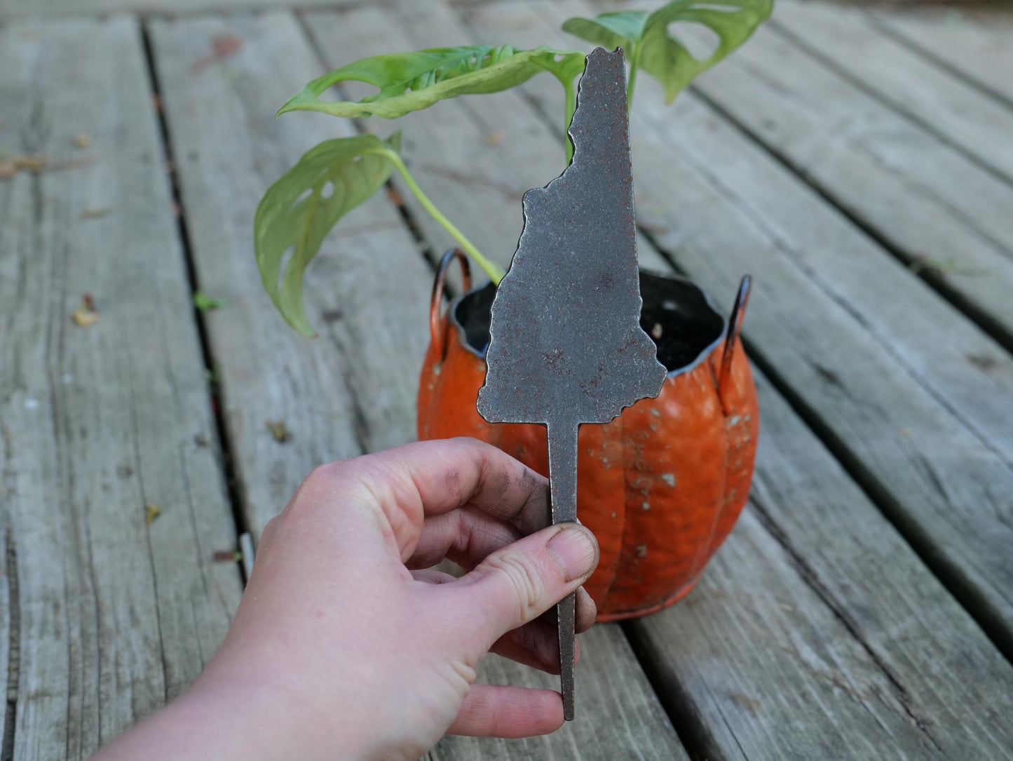 Apple Garden Stake * Metal Planter Decoration * House Plant Decorations* Outdoor Stake Decorations * Fairy Garden Accessories * Farm