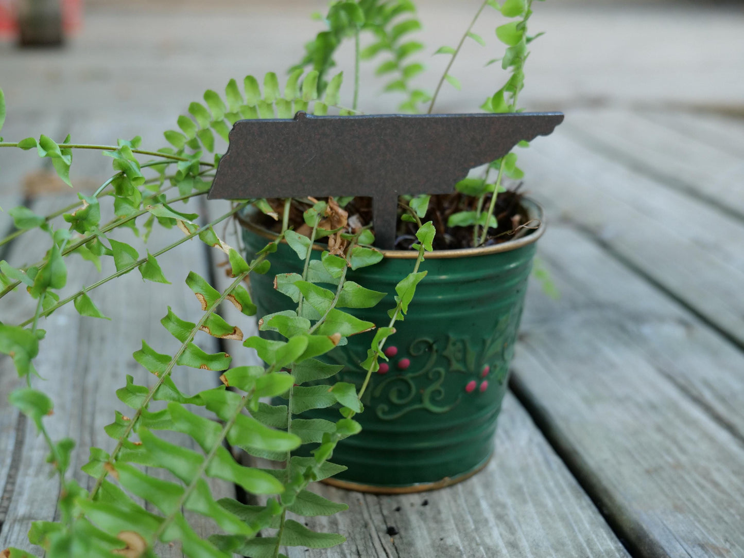 Apple Garden Stake * Metal Planter Decoration * House Plant Decorations* Outdoor Stake Decorations * Fairy Garden Accessories * Farm