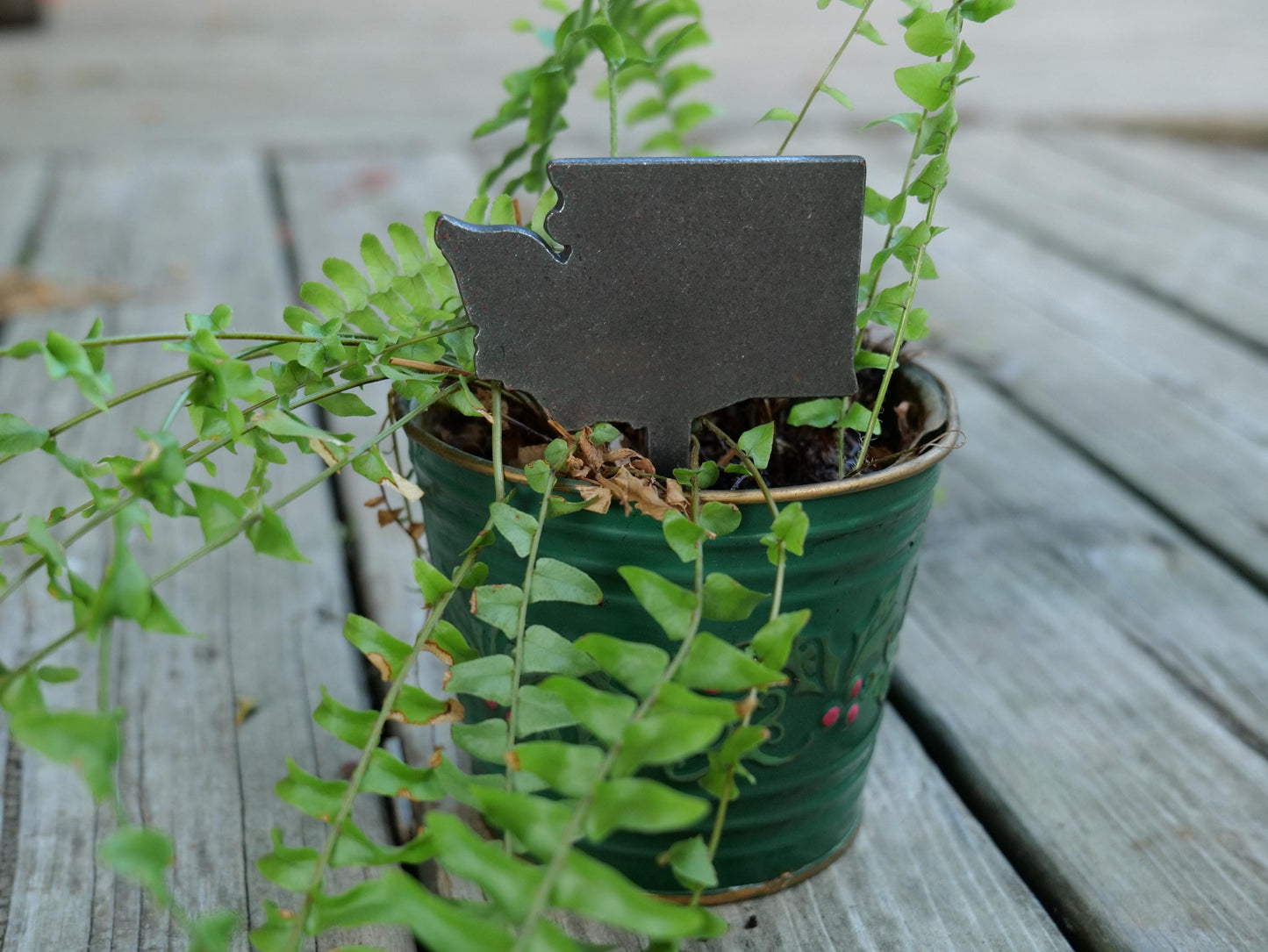 Apple Garden Stake * Metal Planter Decoration * House Plant Decorations* Outdoor Stake Decorations * Fairy Garden Accessories * Farm