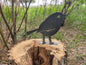 Little Bird Fence Post Topper * Garden Art Accessories * Rusty Metal Garden Stakes * Outdoor Decor * Yard Art Sculpture * Tree Stump Art