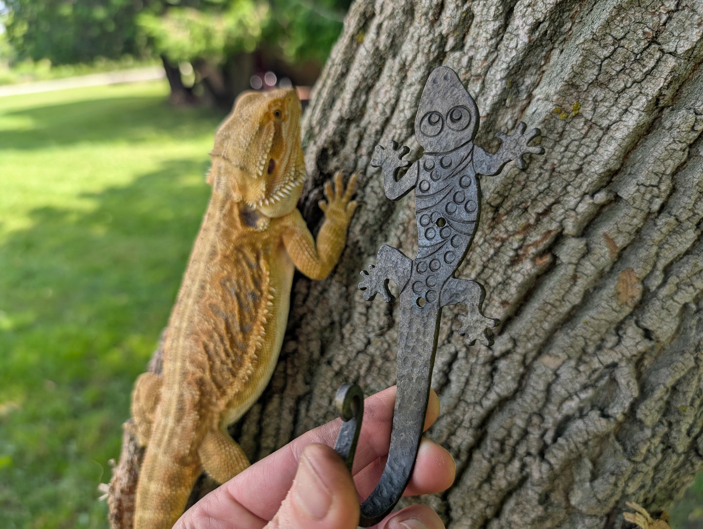 Gecko Hook Blank
